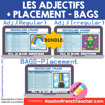 Preview of Distance Learning French Accord des Adjectifs Réguliers, Irréguliers et BAGS