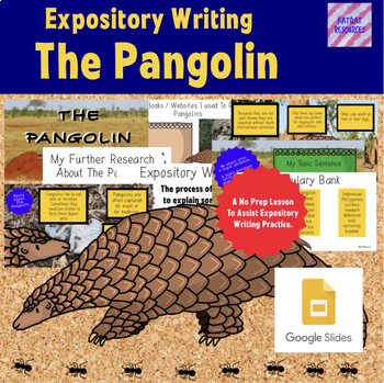 Preview of Distance Learning / Google Classroom -  Expository Writing - The Pangolin
