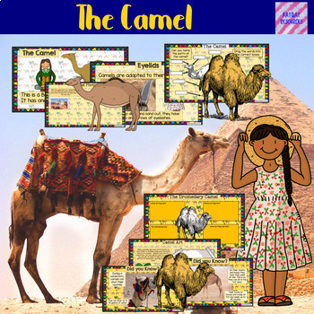Preview of Distance Learning / Google Classroom - The Camel (Prep For Expository Writing)