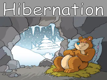 Preview of Distance Learning Hibernation (Google Slides)
