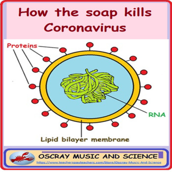 Preview of Distance Learning: How the soap kills Coronavirus