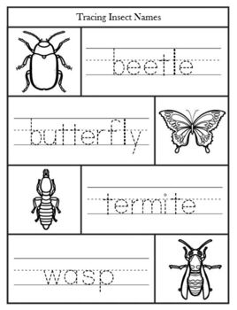 distance learning insect worksheets by adaptive tasks tpt