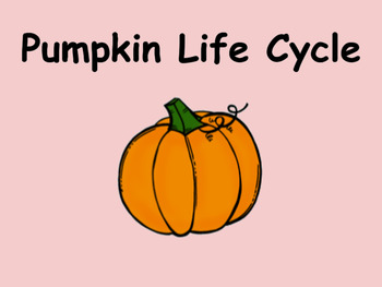 Preview of Distance Learning Life Cycle of a Pumpkin (Google Slides)