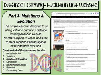 Mutations Webquest Worksheets Teachers Pay Teachers