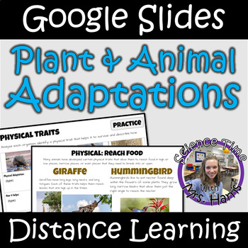 Distance Learning: Plant and Animal Adaptations (Google Slides) | TPT
