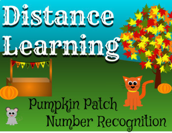 Preview of Distance Learning Pumpkin Patch Number Recognition 