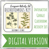 Distance Learning Science: Digital Dichotomous Key {Conife