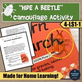 Adaptations Camouflage Activity and Worksheet using Beetle