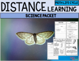 Distance Learning Science (Moth Life Cycle)