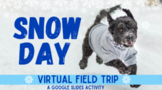 Distance Learning Snow Day Virtual Field Trip: Animals Pla