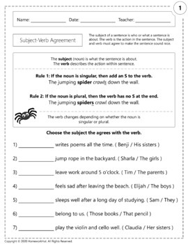 Distance Learning Subject Verb Pronoun Antecedent Agreement Worksheets