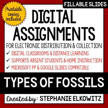Preview of Types of Fossils Digital Activities | Distance Learning