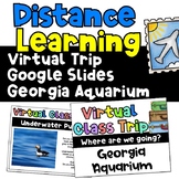 Distance Learning Virtual Trip Georgia Aquarium