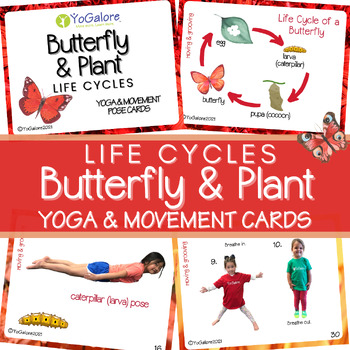 Preview of Butterfly & Plant Life Cycles: Yoga and Movement Cards