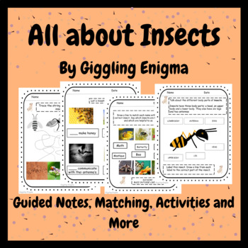 Preview of All About Insects, Worksheets, Guided Notes