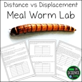 Distance vs Displacement Meal Worm Lab Activity for Physic
