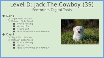 Preview of Distant Learning Digital Tools-Tutoring Level D (Footprints/Jan Plan) Lesson 39