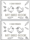 Distant Learning - PreK-Gr.1 Easy Reader book "My BIRD BOOK"