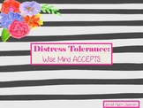 Distress Tolerance and Wise Mind ACCEPTS