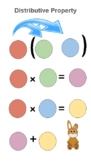 Distributive Property Graphic Organizer