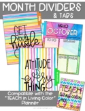Dividers {Teach in Living Color}