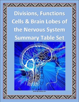 Preview of Divisions, Functions, Cells, & Brain Lobes of the Nervous System Table Set