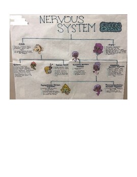 Autonomic Nervous System Chart Poster