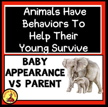 Preview of Animals Have Behaviors to Help Their Young Survive, Baby Appearance vs Parent