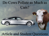 Do Cows Pollute As Much As Cars? Article and Student Questions