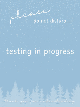 Preview of Do Not Disturb Sign for Testing - Winter/Holiday