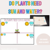 Do Plants Need Sun & Water