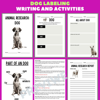 Preview of Dog Animal Research Project Report - Information Report Activities