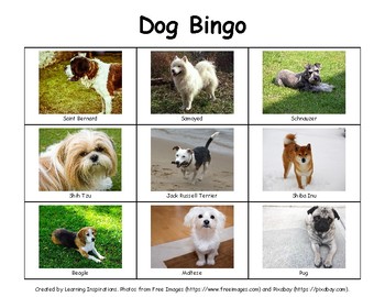 Dog Bingo By Learning Inspirations Teachers Pay Teachers