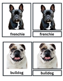 Dog Breeds : 3 Part Cards Montessori