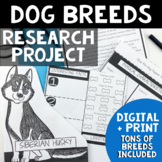 Dog Animal Research Project Report - Informational Writing