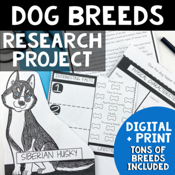 Preview of Dog Animal Research Project Report - Informational Writing and Reading Passages