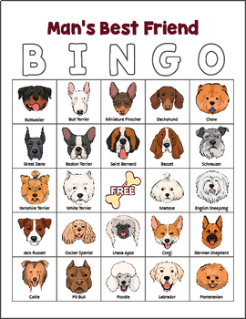 Dog Breeds Bingo By Drag Drop Learning Teachers Pay Teachers