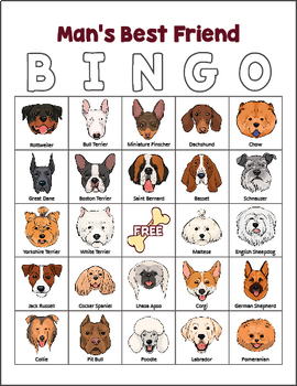 Dog Themed Game Dog Breeds Bingo By Drag Drop Learning Tpt - bingo doge fun in roblox