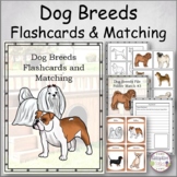 Dog Breeds Flashcards, Matching and Research