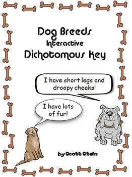 Preview of Identifying Dog Breeds Dichotomous Key