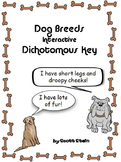 Identifying Dog Breeds Dichotomous Key
