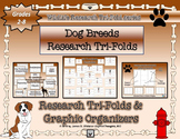 Dog Breeds Research Tri-Folds and Graphic Organizers