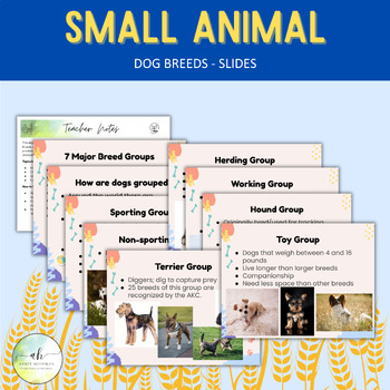 Preview of Dog Breeds - Slides