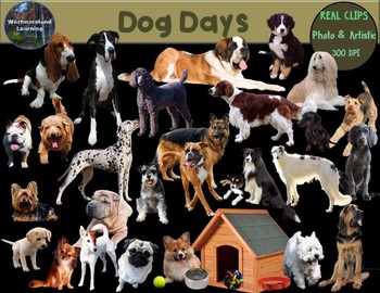 Preview of Dog Clip Art Real Clips Photo & Artistic 68 image Set
