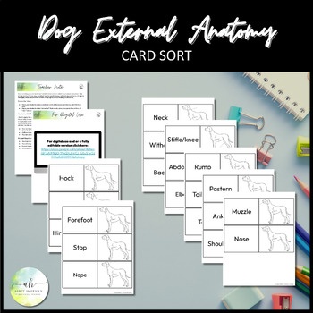 Preview of Dog External Anatomy - Card Sort