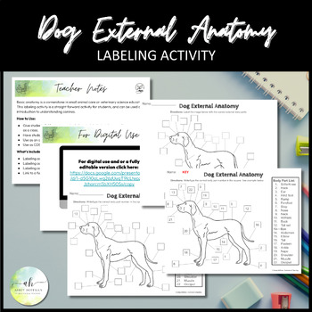 Preview of Dog External Anatomy - Labeling Activity
