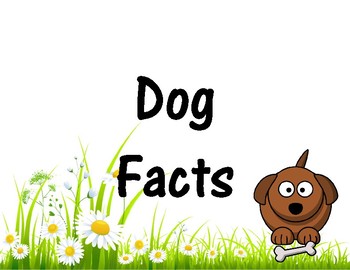 Preview of Dog Facts + Dog Project