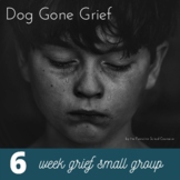 Grief Small Group Curriculum