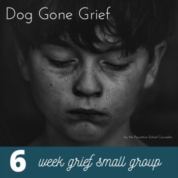 Preview of Grief Small Group Curriculum