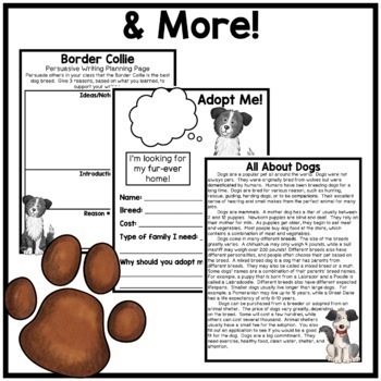 research project on dogs